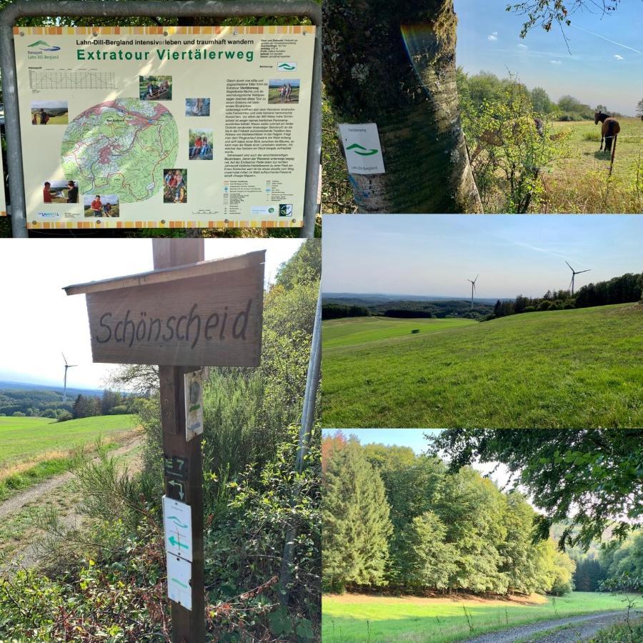 Apartmenthaus Ruhezeit Bad Endbach Buitenkant foto