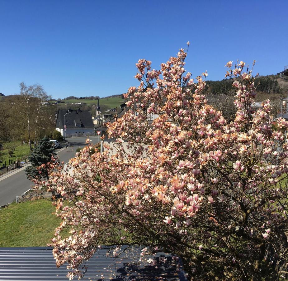 Apartmenthaus Ruhezeit Bad Endbach Buitenkant foto